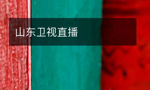 山东卫视直播